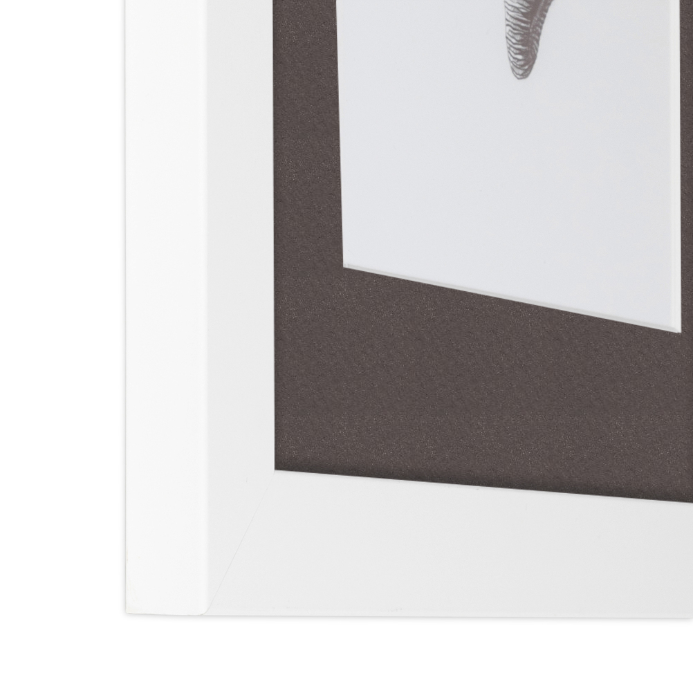 ArtToFrames Matted 15x21 White Picture Frame with 2" Mat, 11x17 Opening 3966 - Picture 101 of 489