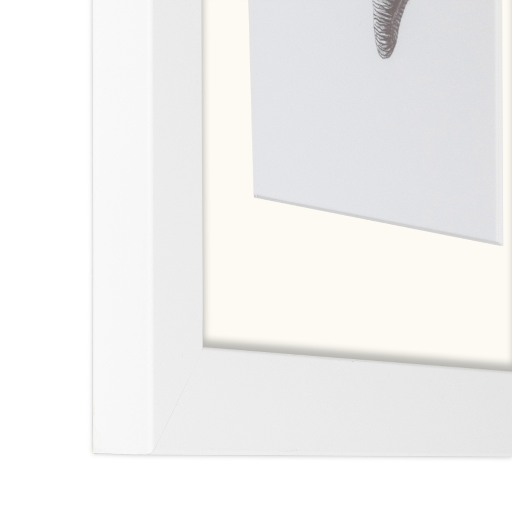 ArtToFrames Matted 15x21 White Picture Frame with 2" Mat, 11x17 Opening 3966 - Picture 477 of 489