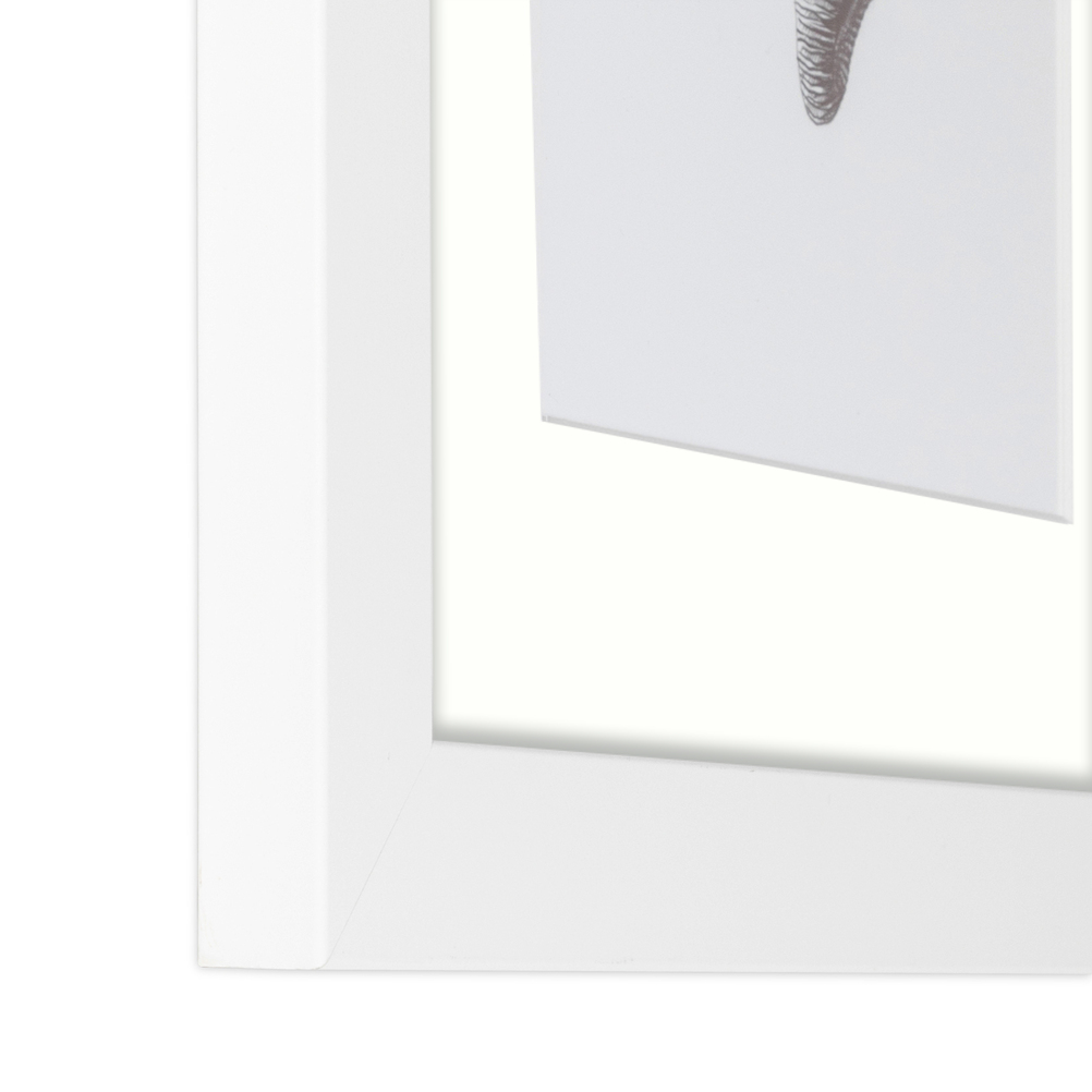 ArtToFrames Matted 15x21 White Picture Frame with 2" Mat, 11x17 Opening 3966 - Picture 453 of 489