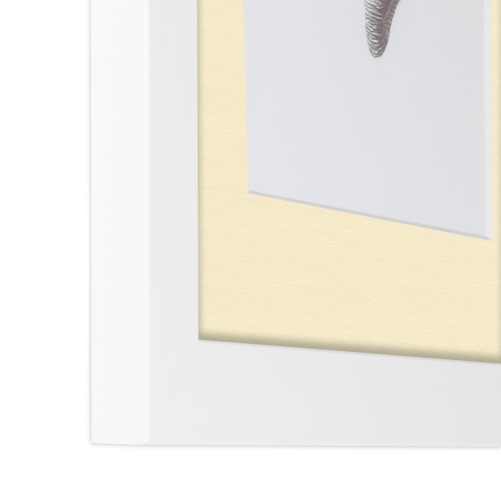 ArtToFrames Matted 15x21 White Picture Frame with 2" Mat, 11x17 Opening 3966 - Picture 413 of 489