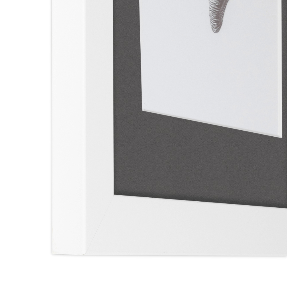 ArtToFrames Matted 15x21 White Picture Frame with 2" Mat, 11x17 Opening 3966 - Picture 21 of 489