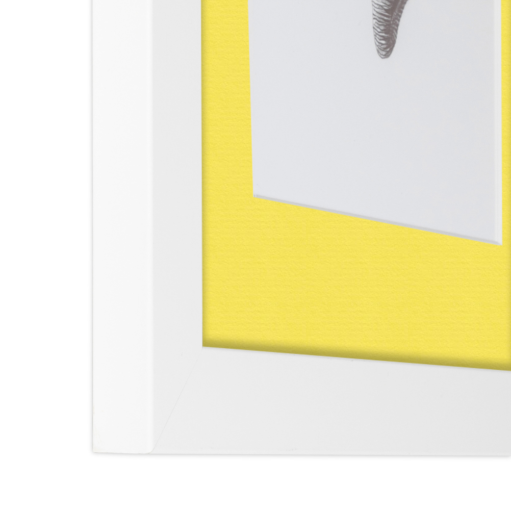 ArtToFrames Matted 15x21 White Picture Frame with 2" Mat, 11x17 Opening 3966 - Picture 485 of 489