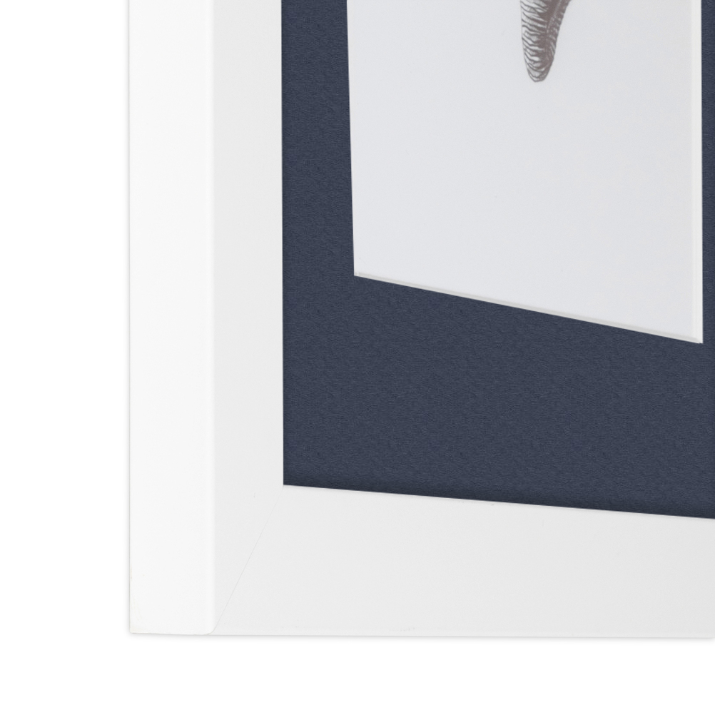 ArtToFrames Matted 15x21 White Picture Frame with 2" Mat, 11x17 Opening 3966 - Picture 37 of 489