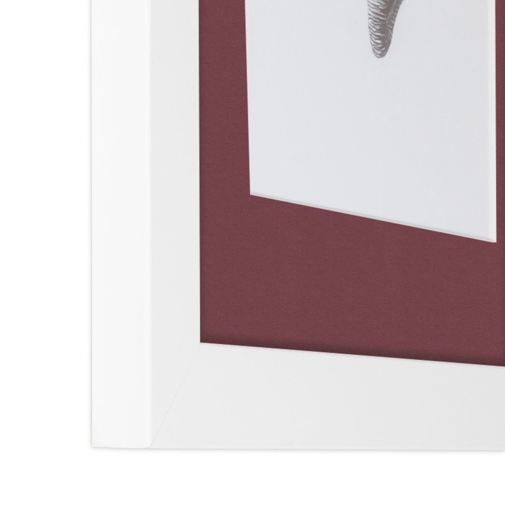 ArtToFrames Matted 15x21 White Picture Frame with 2" Mat, 11x17 Opening 3966 - Picture 341 of 489