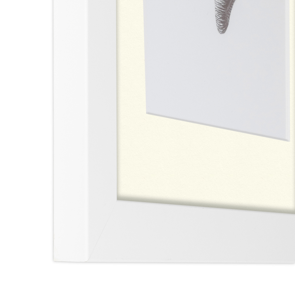 ArtToFrames Matted 15x21 White Picture Frame with 2" Mat, 11x17 Opening 3966 - Picture 405 of 489