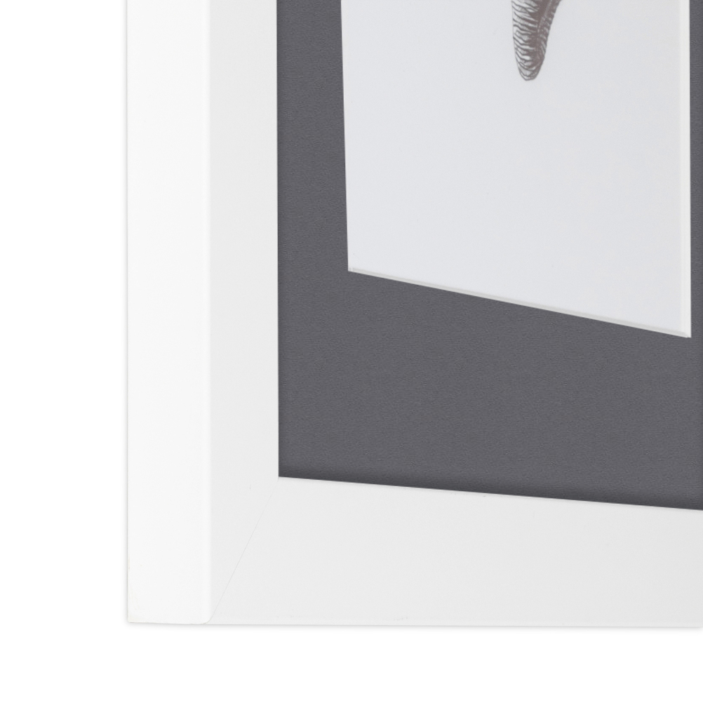 ArtToFrames Matted 15x21 White Picture Frame with 2" Mat, 11x17 Opening 3966 - Picture 237 of 489