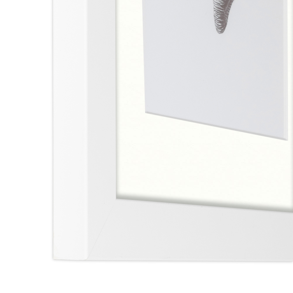 ArtToFrames Matted 15x21 White Picture Frame with 2" Mat, 11x17 Opening 3966 - Picture 469 of 489