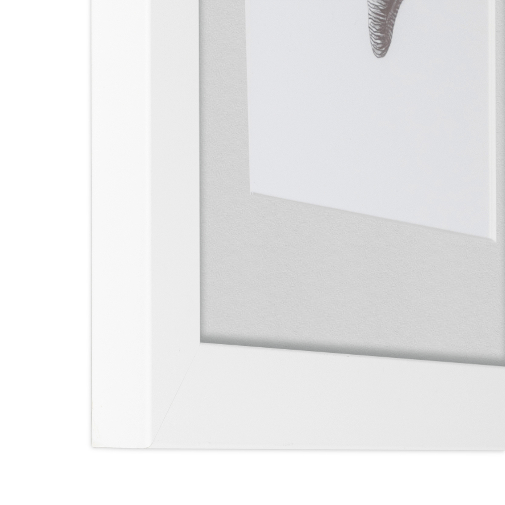 ArtToFrames Matted 15x21 White Picture Frame with 2" Mat, 11x17 Opening 3966 - Picture 221 of 489