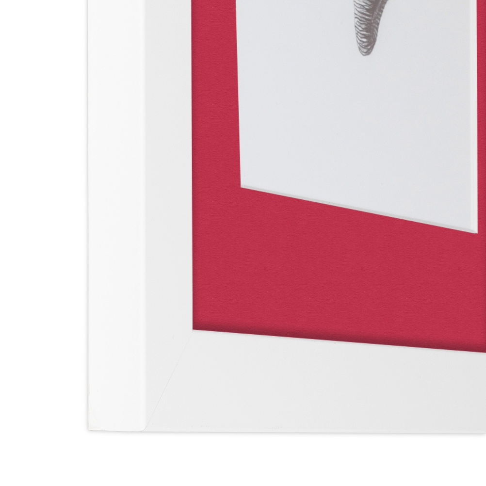 ArtToFrames Matted 15x21 White Picture Frame with 2" Mat, 11x17 Opening 3966 - Picture 365 of 489