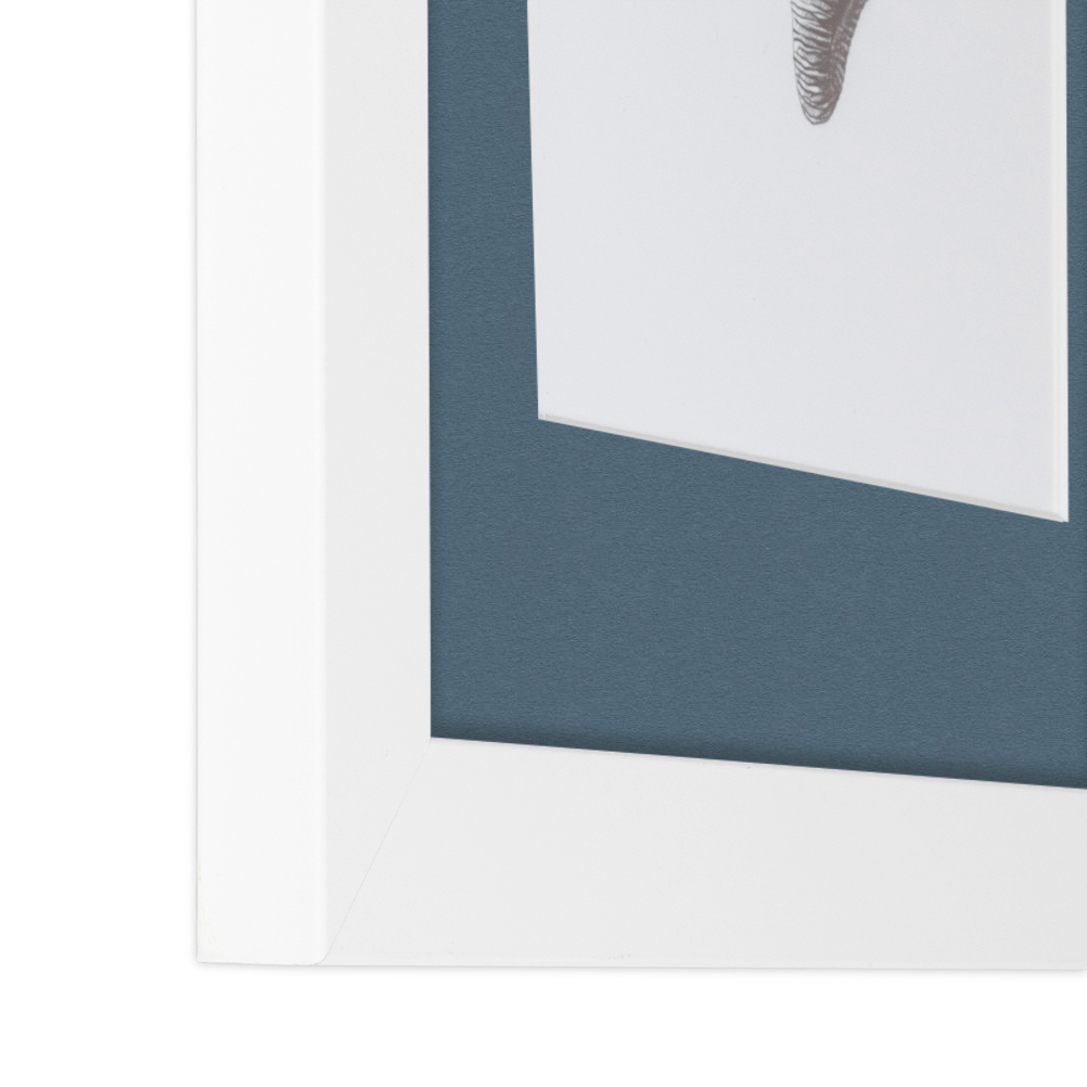 ArtToFrames Matted 15x21 White Picture Frame with 2" Mat, 11x17 Opening 3966 - Picture 53 of 489