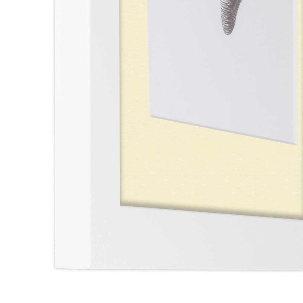 ArtToFrames Matted 15x21 White Picture Frame with 2" Mat, 11x17 Opening 3966 - Picture 277 of 489