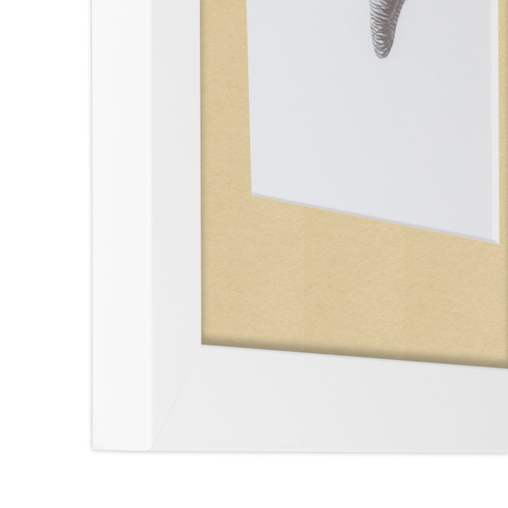 ArtToFrames Matted 15x21 White Picture Frame with 2" Mat, 11x17 Opening 3966 - Picture 205 of 489