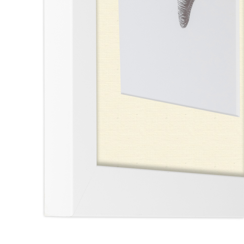 ArtToFrames Matted 15x21 White Picture Frame with 2" Mat, 11x17 Opening 3966 - Picture 445 of 489