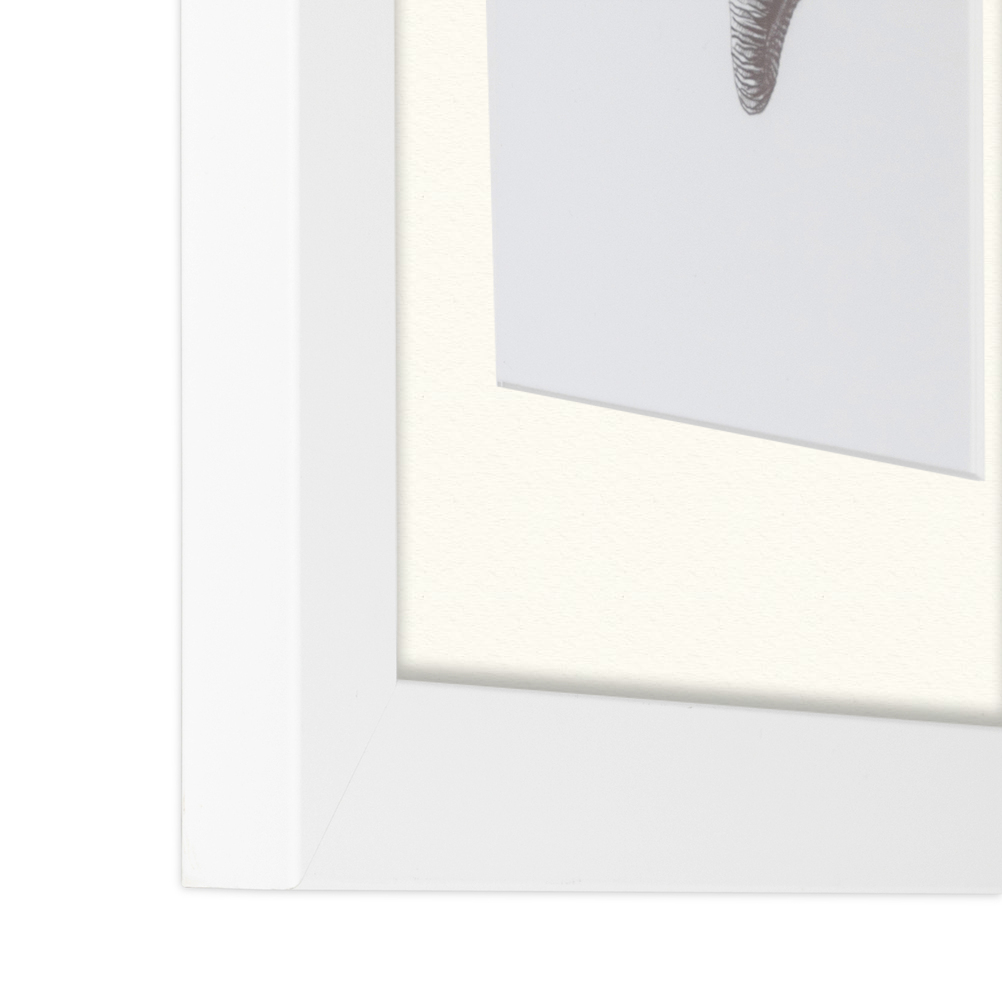 ArtToFrames Matted 15x21 White Picture Frame with 2" Mat, 11x17 Opening 3966 - Picture 269 of 489