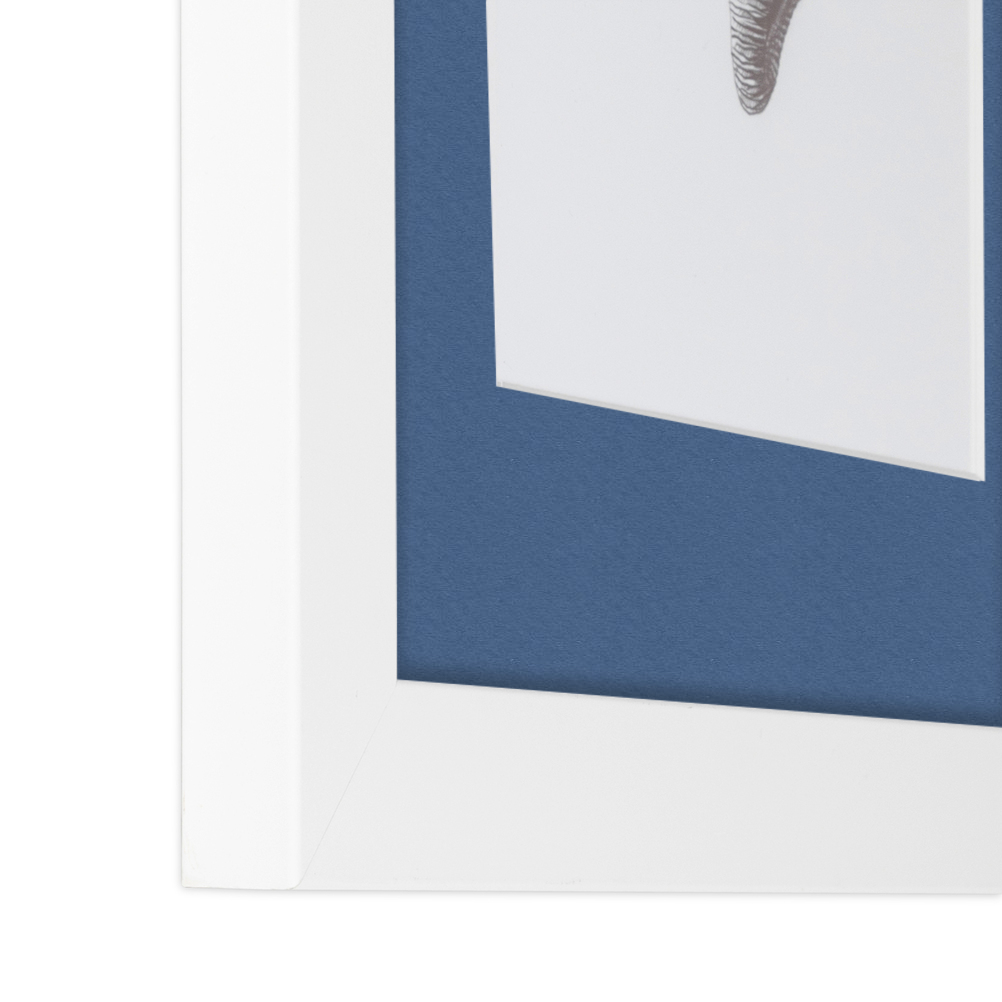 ArtToFrames Matted 15x21 White Picture Frame with 2" Mat, 11x17 Opening 3966 - Picture 85 of 489