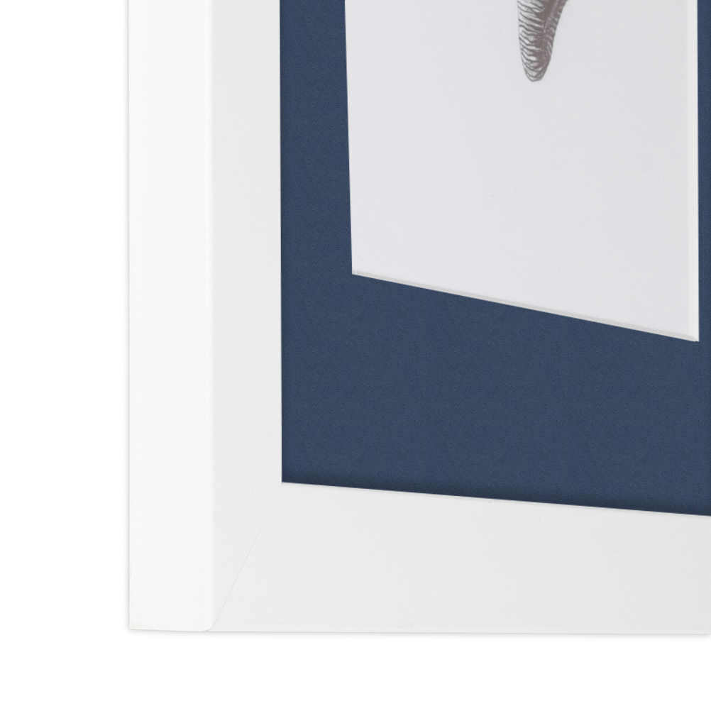 ArtToFrames Matted 15x21 White Picture Frame with 2" Mat, 11x17 Opening 3966 - Picture 77 of 489