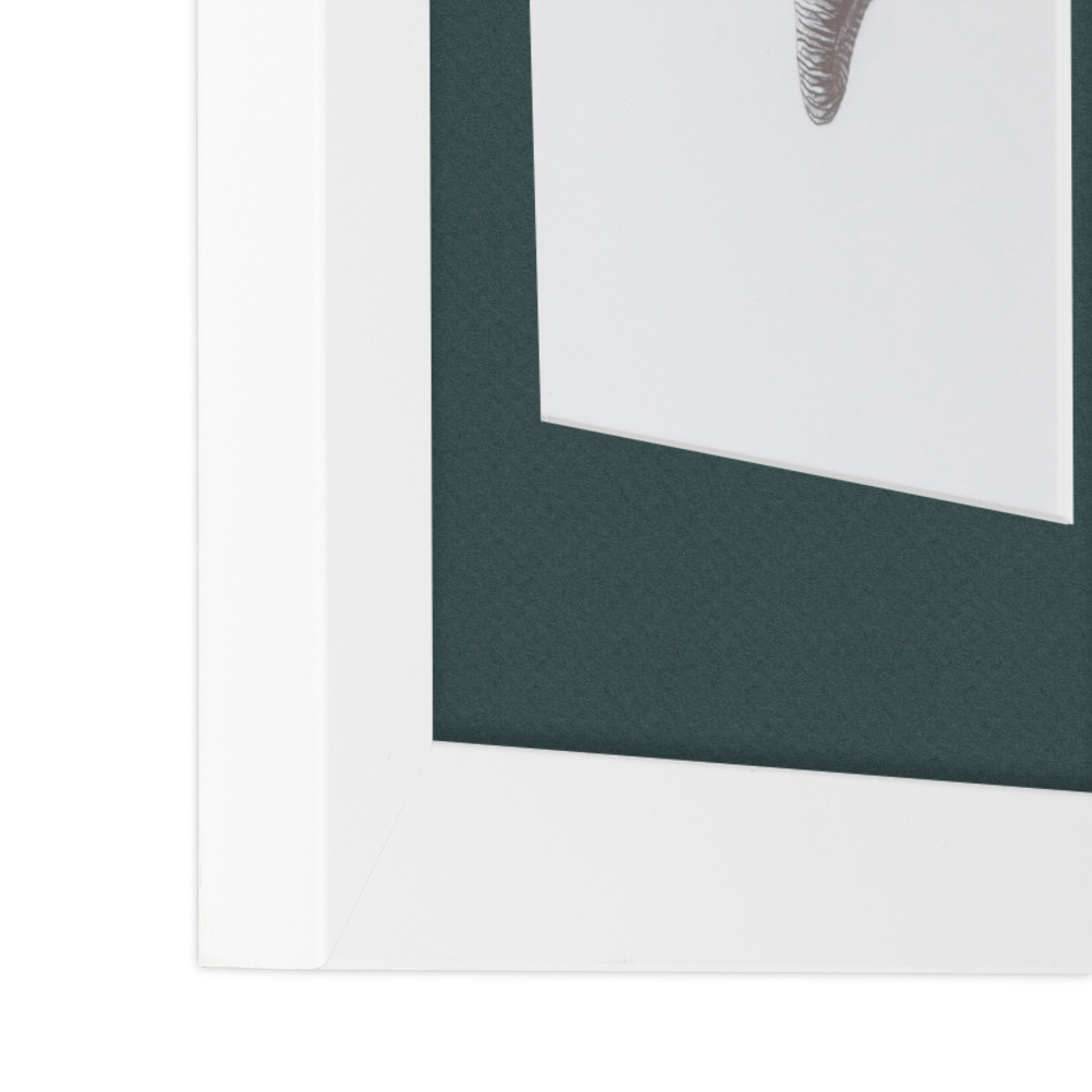ArtToFrames Matted 15x21 White Picture Frame with 2" Mat, 11x17 Opening 3966 - Picture 197 of 489