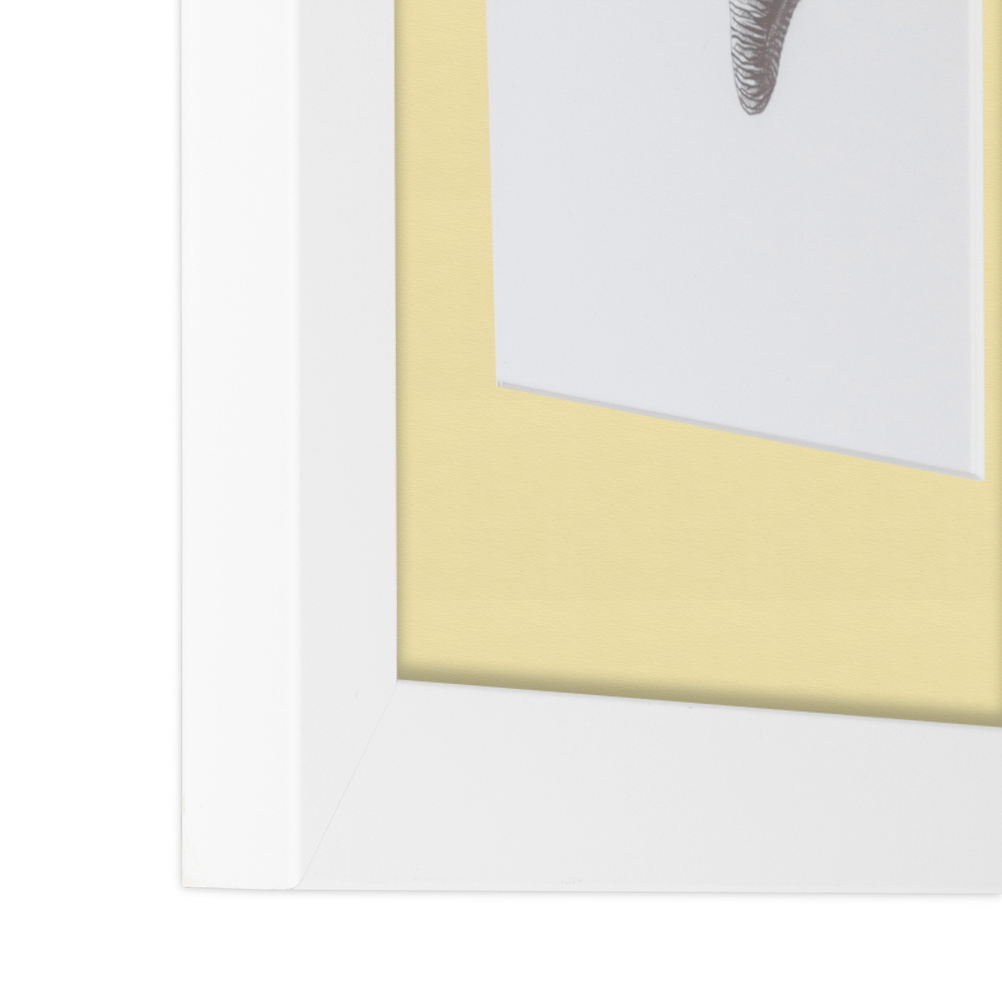 ArtToFrames Matted 15x21 White Picture Frame with 2" Mat, 11x17 Opening 3966 - Picture 261 of 489