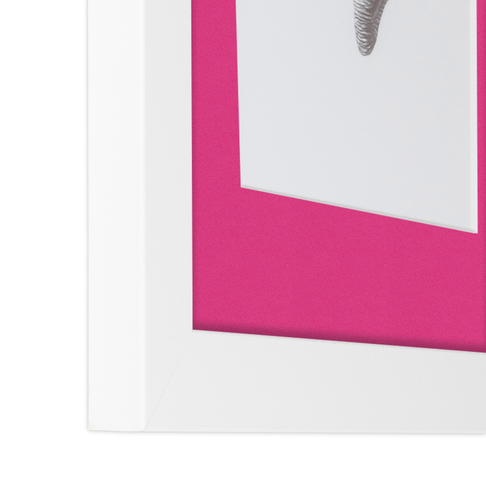 ArtToFrames Matted 15x21 White Picture Frame with 2" Mat, 11x17 Opening 3966 - Picture 325 of 489