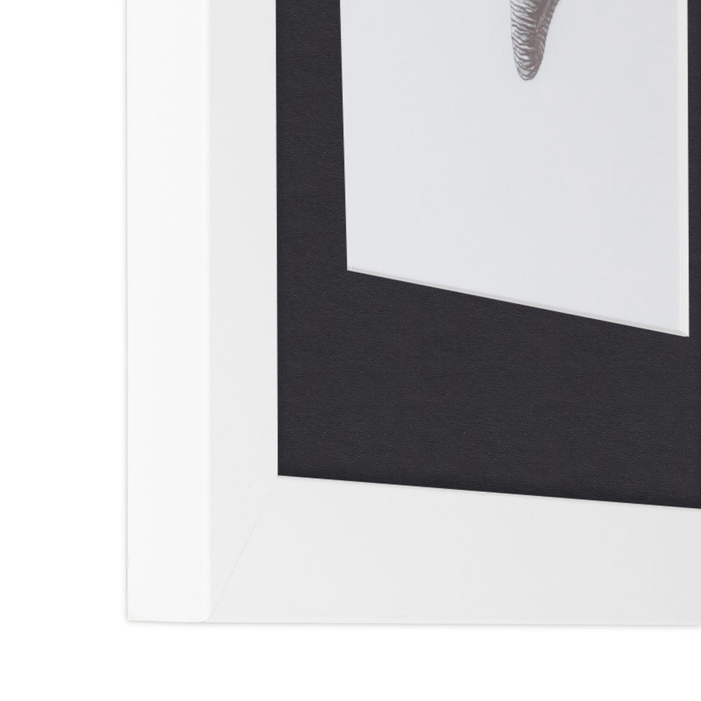 ArtToFrames 16x22 Black Picture Frame With Double Mat, 12x18 Photo Opening, Wall Mount - Model 3926