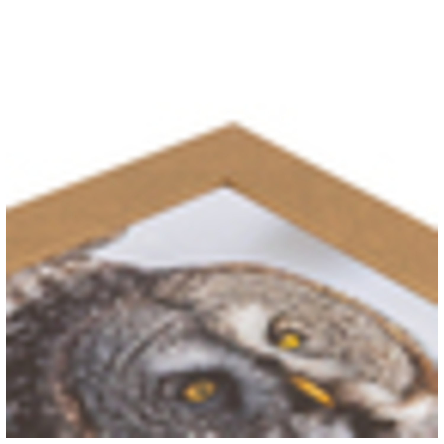 ArtToFrames 19 x 21" Modern Custom Picture Poster Frame 2" Wide A48OC - Picture 26 of 49