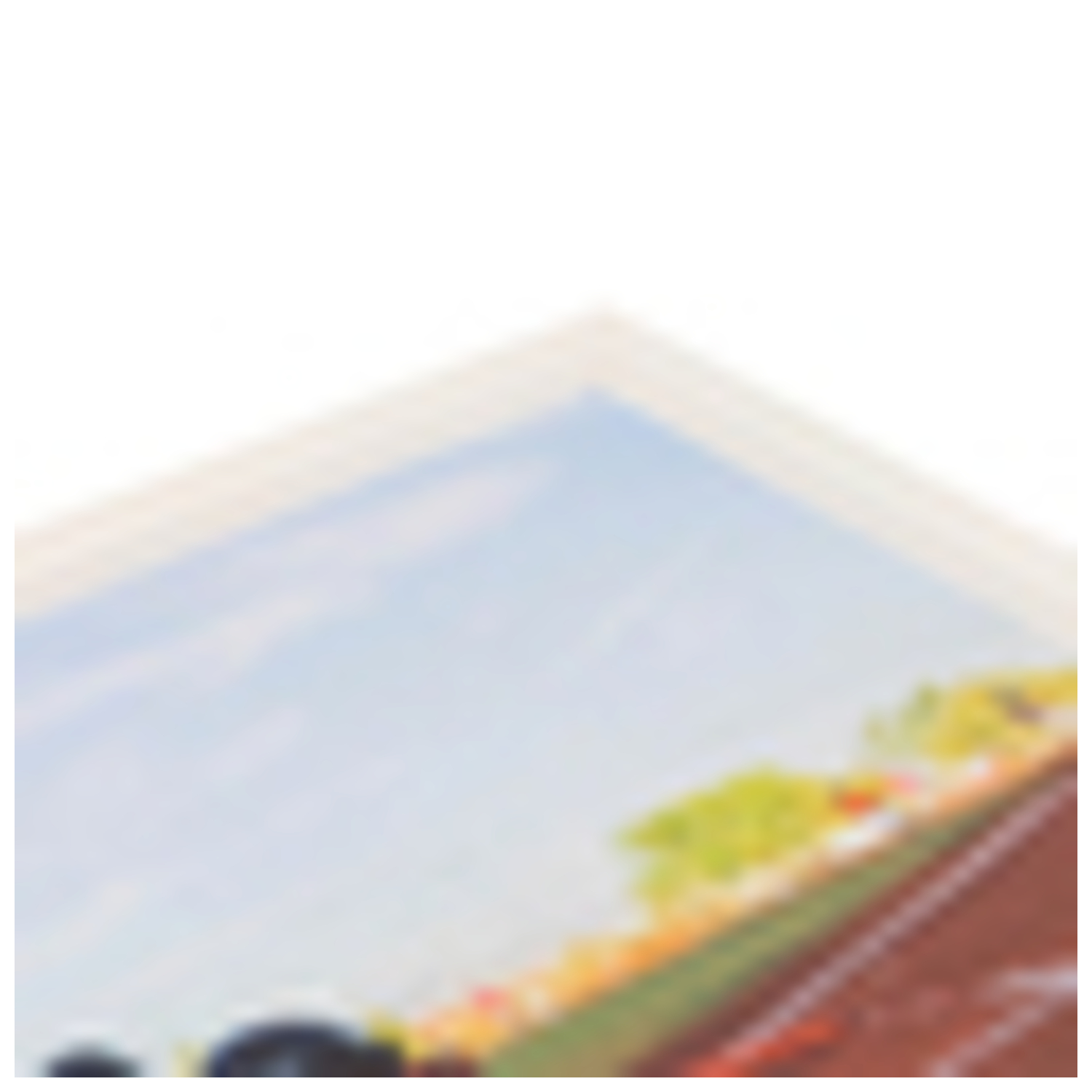 ArtToFrames 15 x 25" Traditional Custom Picture Poster Frame 1" Wide A9LG - Bild 28 von 37
