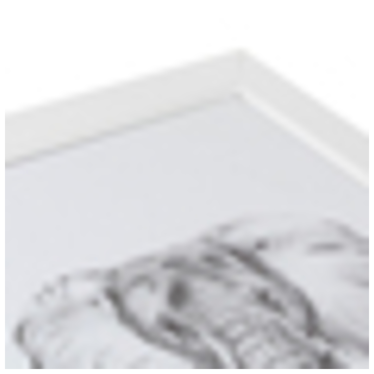 Bild 12 von 75
