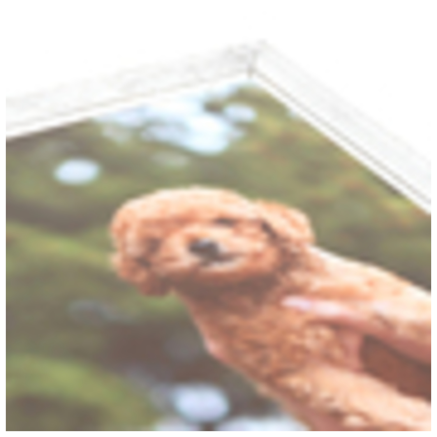ArtToFrames 11 x 17" Rustic Custom Picture Poster Frame 1" Wide A45HI - Picture 66 of 69